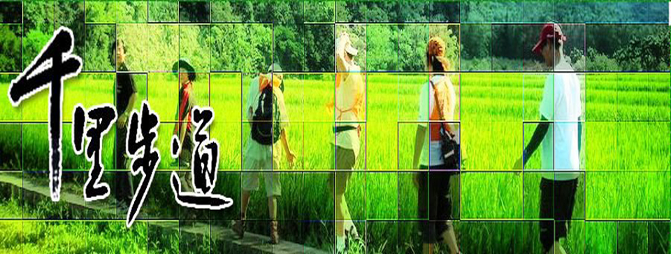 12670281 1014225731984190 8559032669661474307 n