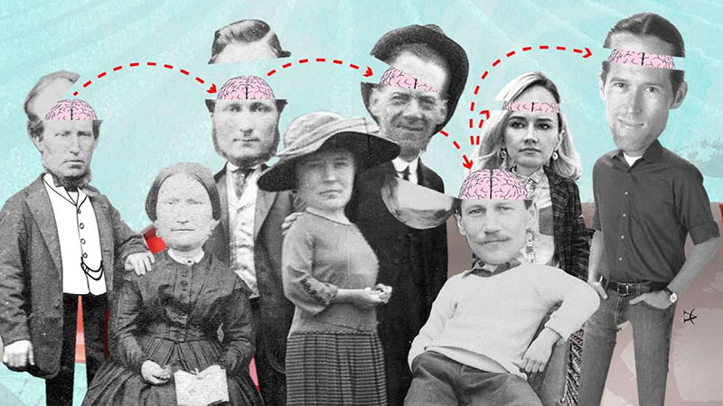 economic democracy15