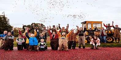 economic democracy20