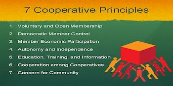 economic democracy32